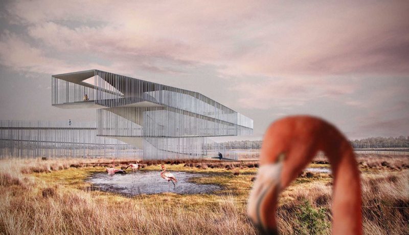 Flamingo Observation Tower